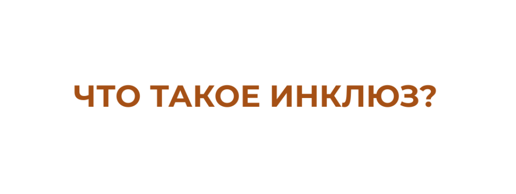 Что такое инклюз?