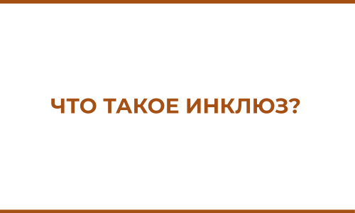 Что такое инклюз?