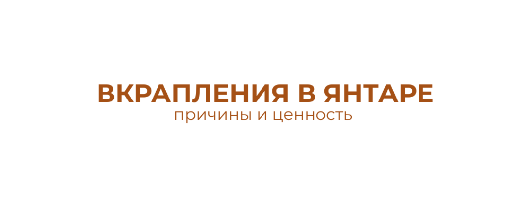 ВКРАПЛЕНИЯ В ЯНТАРЕ: причины и ценность