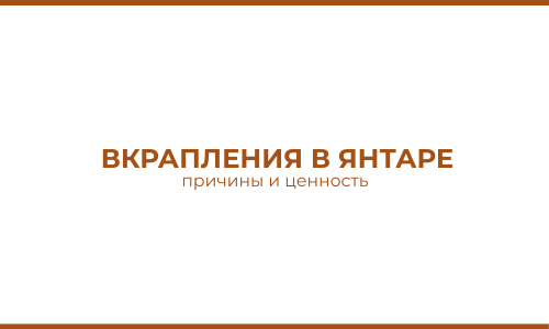 ВКРАПЛЕНИЯ В ЯНТАРЕ: причины и ценность