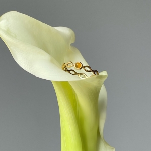 Кольцо серебряное с янтарём R20010ZK Кольцо серебряное с янтарём R20010ZK