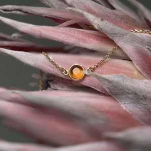 Колье серебряное с янтарём N20002ZK