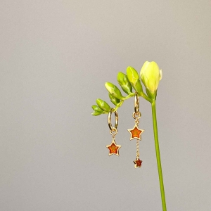 Серебряные серьги с янтарём E23037ZK