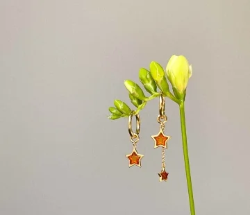 Серебряные серьги с янтарём E23037ZK