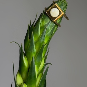 Кольцо серебряное с янтарём R20043ZM Кольцо серебряное с янтарём R20043ZM