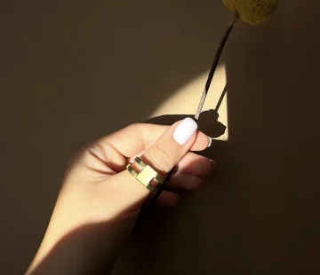 Кольцо серебряное с янтарём R20045ZM Кольцо серебряное с янтарём R20045ZM