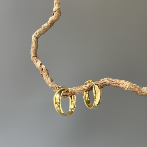 Серебряные серьги E5009Z