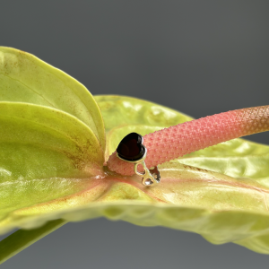 Кольцо серебряное с янтарём R9202SV