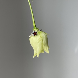 Silver ring with amber R10010-1SV