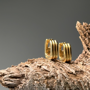 Серебряные серьги E5025Z