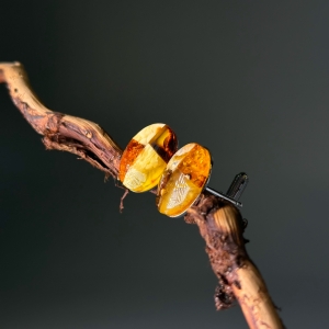 Запонки  с натуральным янтарем 04