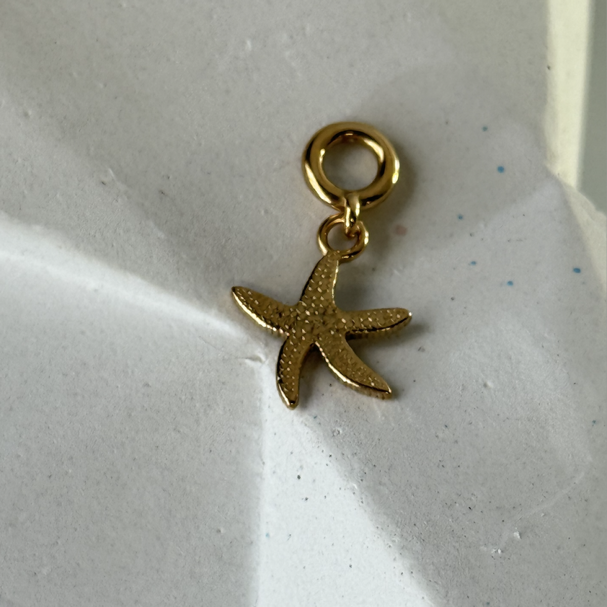 Silver Pendant with  E7002Z