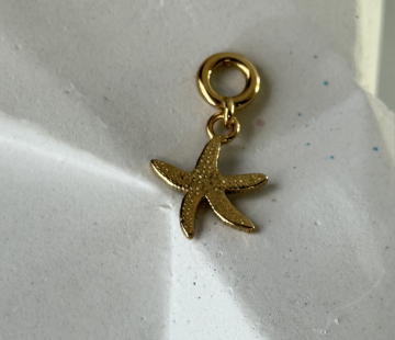 Silver Pendant with  E7002Z