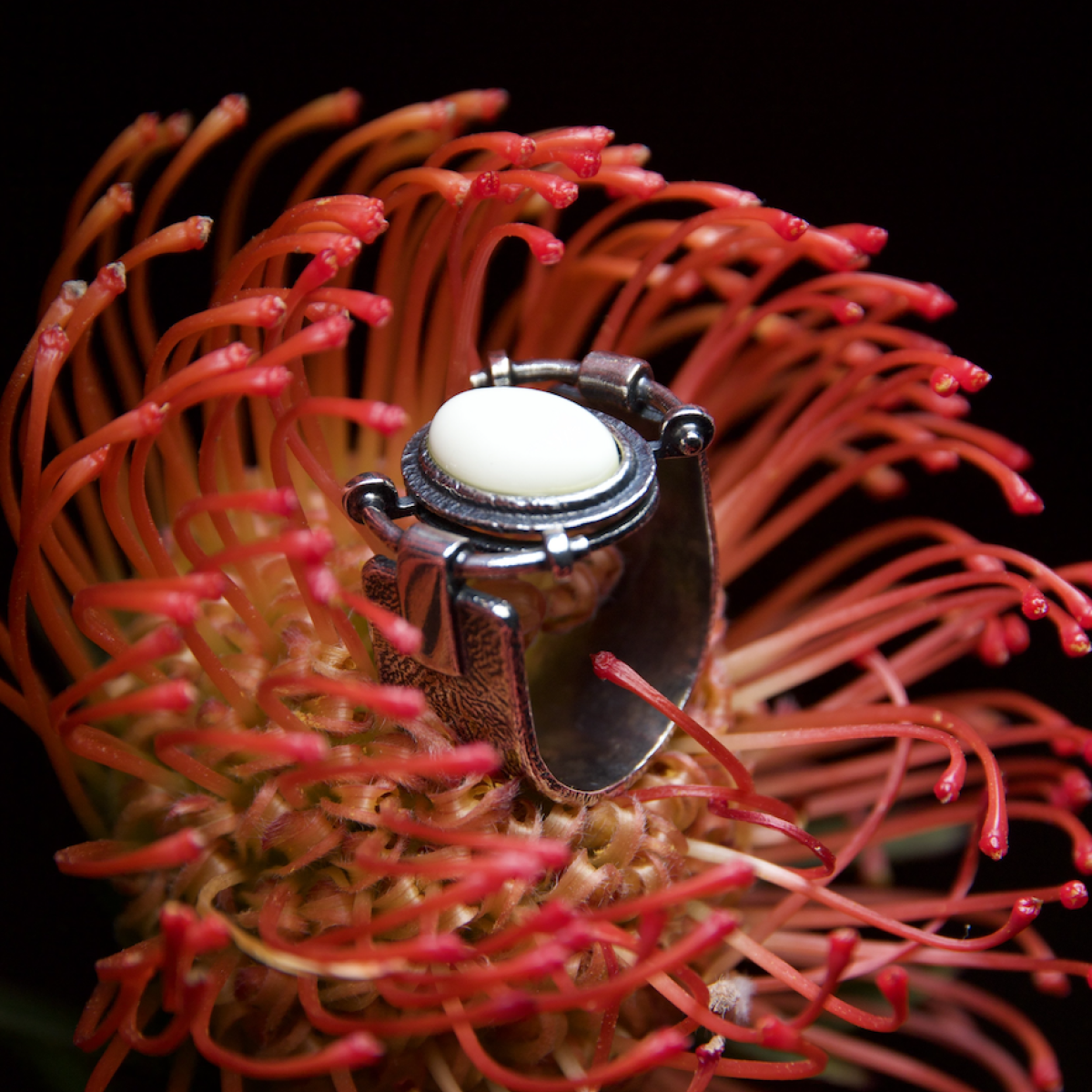 Silver ring with amber R30031CM