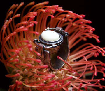 Silver ring with amber R30031CM