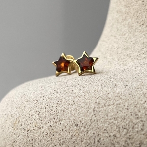 Silver earrings with amber E10010-1ZK