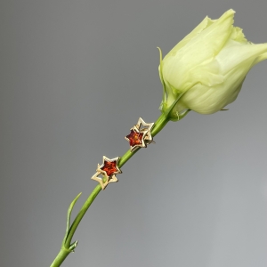 Серебряные серьги с янтарём E10010-2ZK