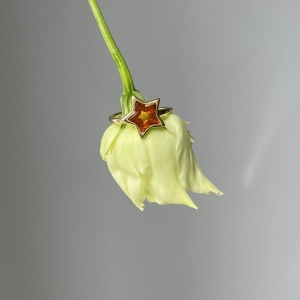 Кольцо серебряное с янтарём R10010ZK