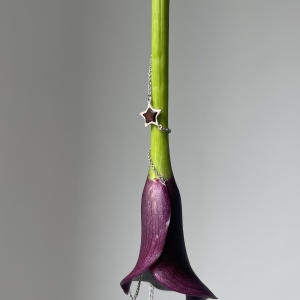 Колье серебряное с янтарём N10012RV