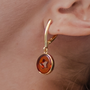 Серебряные серьги с янтарём E9227ZK Серебряные серьги с янтарём E9227ZK