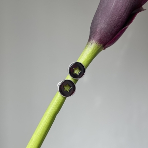 Серебряные серьги с янтарём E9223RV Серебряные серьги с янтарём E9223RV