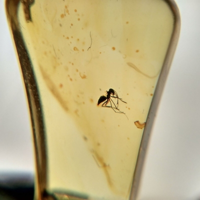 What are Inclusions?