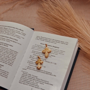 Кулон серебряный с янтарём P9215ZM