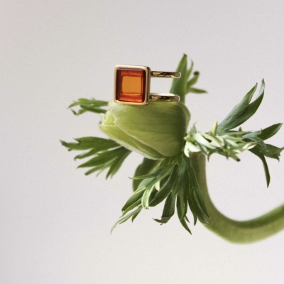 how much does amber cost