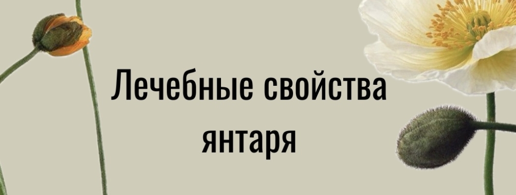 Лечебные свойства изделий из янтаря Лечебные свойства изделий из янтаря